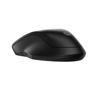 HP 255 Dual Wireless Mouse