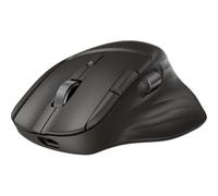 HP 785M (B8YX4AA) Ultra-Fast Scrolling Wireless Mouse - Multi Surface - Wireless - 10m - Bluetooth/Radio Frequency - 2.40GHz - Rechargeable - Black - USB Type A - 6000 dpi - Wheel