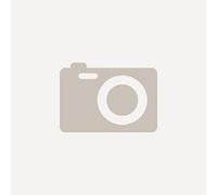 HP EliteBook EBX G1I Laptop 35.6 cm (14 ) 226V 16 GB Intel Arc Graphics Windows 11 Pro