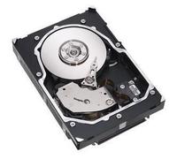 HP HDD 146GB 1" FC 15K