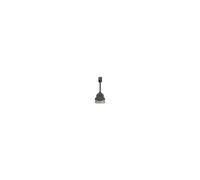 HP FH973AAR Promo DisplayPort To DVI-D