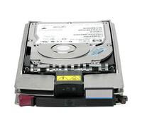 HPE 450G 15K FC EV dd-on HDD