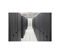 HPE P49145-B21 computer