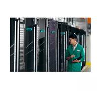 HPE ProLiant DL3XX Gen11 OCP2 x16 Enablement Kit. Weight: 100 g