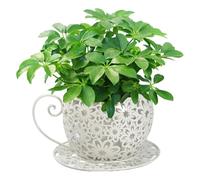 Hperu Flower Pots, Vintage Iron Art Teacup Planters - Hollowed Out Decorative Metal Succulent Plant Holders for Indoor Use - Teacup Planter