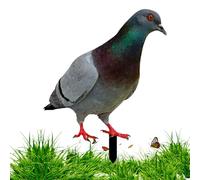 Hperu Pigeon Statues,Garden Ornaments Pigeon Acrylic Yard Decor Type A Poultry Metal Stake Rust-Resistant Garden Decor Yard Art Floor Stakes for Backyard Lawn for Home