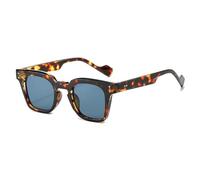 HPIRME Trendy Punk Glasses Uv400 Protection Small Shades Rivets for Women & Men(Leopard)