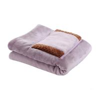 HpLive Electric Blanket 60 x 80 cm, Soft Flannel Heat Underbed with USB Power Supply, Lightweight Portable Heat Blanket for Constant Temperature (Purple)