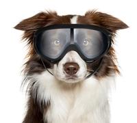 Hpmjz Dog Sunglasses Dog Goggles UV Wind Dust Fog Protection Pet Glasses Eye Wear for Medium to Large Breed Transparent Goggles Windproof Outdoor Riding with Adjustable Strap Easy Put-on Cool Black