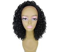 HPO Ada Curly 17.5 Inch Long 13x2.5 Hand-Tied Lace Front Wig, Great Heat Resistant Fiber, 20+ Shades of Natural, Dip Dyed, & Blended Colors (#1 - Black)