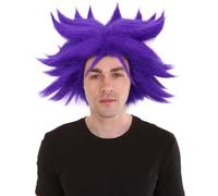 HPO Adult Men's Anime Spike Wig, Adult Halloween Party and TV/Movie Cosplay Wigs for Men, Flame-Retardant - Purple
