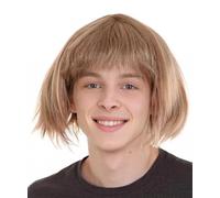 HPO Men's Adult Comedy TV/Movie Character Cosplay Wig in Blonde | Flame-Retardant Synthetic Fiber Halloween Wigs for Men - Dumb Harry