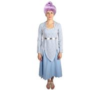 HPO Women’s Animated Fantasy Movie Fairy Godmother Cosplay Bundle with Wig & Costume | Halloween Cosplay Outfit for Adult - Extra Large