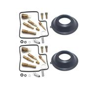 HPZPRPCEW Motorcycle Carburetor Repair Kit Fuel System Float Plunger Diaphragm FOR XL650V 1988-2001 2002 2003 2004 2005 2006