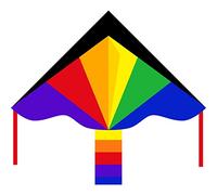 Simple Flyer Single Line Kite Rainbow 120cm Easy to Fly