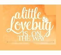 HQKJGSYX Acrylic A Little Love Bug is on the Way Cake Topper