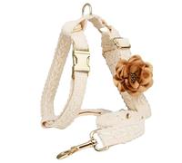 HQREA Small Dog Harness and Leash Set, Cute Luxury Lace Cotton Fabric with Detachable Flowers, No Pull with Handle, Easy Dog Walking, White, S
