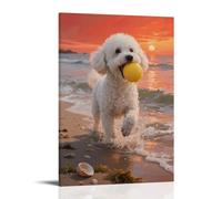HQYXMSLL Bichon Frise Playing with Waves by Sea, Fur with Spray Decorative Modern Mural - Wall Art Hanging Poster 24x36inch(60x90cm)