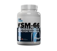 HR Labs KSM-66 Ashwagandha, Sleep Aid, Stress Reduction, Improves Libido, Testosterone Levels, Immune & Cognitive Function, 120 x 500mg Capsules, Unflavoured