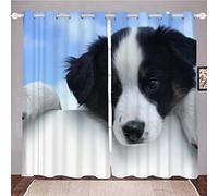 HRBK Blue And White Border Collie Blackout Curtains, 2 Panels, 92" x 72" (WxL), Multicolor, Animal Pattern, Polyester, Modern, Pet-themed, Grommet Top, Indoor and Outdoor, Curtains