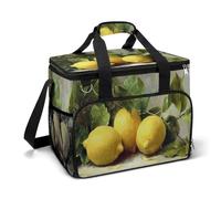 Hree Lemons on A Table Camping Cooler Bag Insulated Beach Coolers Portable Leak Proof Bags with Shoulder Strap