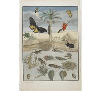 HRJUBWREE Classic Canvas Picture Art Canvas Print Modern Oil Painting Insects and Fish with Island by Maria Si Artwork on Wall for Office Decor 60x90cm