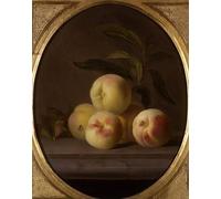 HRJUBWREE Classic Canvas Picture Art Canvas Print Modern Oil Painting Still Life of Fruit with a Fly by Jakob Bogdani or Bogdany Artwork on Wall for Home Decor 60x90cm