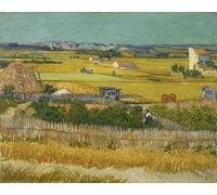 HRJUBWREE Classic Canvas Picture Art Canvas Print Modern Oil Painting the Harvest by Vincent Van Gogh Artwork on Wall for Home Decor 60x90cm