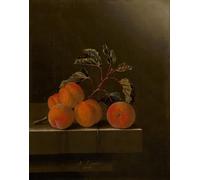 HRJUBWREE Famous Paintings Pictures Artwork Picture Still Life with Five Apricots by Adrian Coorte Photo Wall Print for Office Decor 60x90cm