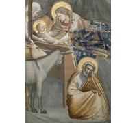 HRJUBWREE Famous Paintings Pictures Artwork Picture the Nativity Detail of the Virgin and Child the Donkey and by Giotto Di Bondone Photo Wall Print for Home Decor 60x90cm