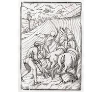 HRJUBWREE Oil Painting Prints on Canvas Painting Picture Death Comes for the Farmer or Husbandman by Hans Holbein Der Jüngere Artwork Canvas Prints for Office Decor 60x90cm