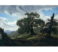 HRJUBWREE Oil Painting Prints on Canvas Painting Picture Memory of a Wooded Island in the Baltic Sea Oak Trees by Carl Gustav Carus Artwork Canvas Prints for Office Decor 60x90cm