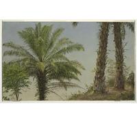 HRJUBWREE Oil Painting Prints on Canvas Painting Picture Palm Trees Jamaica by Frederic Edwin Church Artwork Canvas Prints for Office Decor 60x90cm