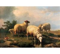 HRJUBWREE Oil Painting Prints on Canvas Painting Picture Sheep and a Chicken in a Landscape by Eugene Verboeckhoven Artwork Canvas Prints for Home Decor 60x90cm