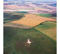 HRJUBWREE Retro Picture Art Painting Wall Poster Crop Circle in Wheat Field by Ferdinand Georg Waldmuller Vintage Art Print for Home Decor 60x90cm