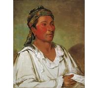 HRJUBWREE Retro Picture Art Painting Wall Poster Grass Bush and Blossom Semicivilized by George Catlin Vintage Art Print for Home Decor 60x90cm