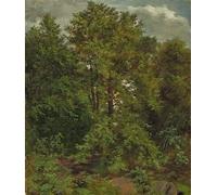 HRJUBWREE Retro Picture Art Painting Wall Poster Motif of the Pillnitz Elbe Island by Carl Gustav Carus Vintage Art Print for Office Decor 60x90cm