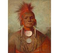 HRJUBWREE Retro Picture Art Painting Wall Poster See Non Ty a an Iowa Medicine Man by George Catlin Vintage Art Print for Office Decor 60x90cm