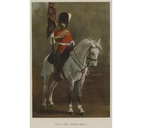 HRJUBWREE Vintage Poster Photo Wall Print Mural Artwork Scots Greys Standard Bearer by John Charlton Art Prints Painting for Office Decor 60x90cm