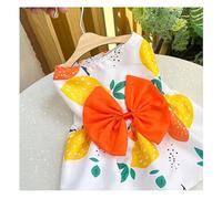 Hrlace 1 Piece Dog Dress, Princess Dresses, Bow Dress, Floral Pattern, Summer Pet Outfits, Tutu Skirt, Clothing for Female Cats, Small Pets, Orange, M
