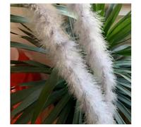 Hrlace 200 cm Marabou Feather Boa 10 g Fluffy Marabou Boa for Crafts Natural Turkey Feather Boa Fluffy Feather Garland Christmas Garland DIY Costume Dancing Wedding Cosplay Party Decoration Light Grey