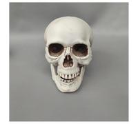 Hrlace Halloween Skull Skeleton Halloween Decoration Skull Head Realistic Skeletons Scary Skull Heads Decoration for Home Bar Haunted House Party Table Decoration Yard Decorations 5#