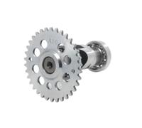 HRLKW Racing Camshaft A8 A9 A10 A11 A12 A13 A14 A15 GY6 125CC 150CC 1P52QMI 1P57QMJ aja Kazuma Taotao ATV Quad Go Kart Scooter(A8)(A10)
