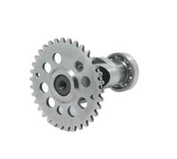 HRLKW Racing Camshaft A8 A9 A10 A11 A12 A13 A14 A15 GY6 125CC 150CC 1P52QMI 1P57QMJ aja Kazuma Taotao ATV Quad Go Kart Scooter(A8)(A8)