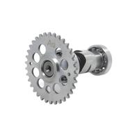 HRLKW Racing Camshaft A8 A9 A10 A11 A12 A13 A14 A15 GY6 125CC 150CC 1P52QMI 1P57QMJ aja Kazuma Taotao ATV Quad Go Kart Scooter(A8)(A12)