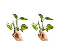 Hrtyvhin 2PCS Realistic Rainforest Climbing Branch for Reptiles Terrariums with Natural Design Safe Resin for Landscape Decors Fishtanks Decors