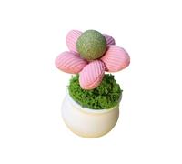 Hrtyvhin Catnips Ball Potted Plant Toy Flower Pots Shape Catnips Cats Chewing And Playing Entertainment Teaser For Fun Indoor Cats Entertainment Toy