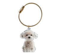 Hrtyvhin Elegant Pet Loss Memorial Keychain Features Visible Hair Storage Chamber And Durability Hair Box Keyring Clear Memorial Box