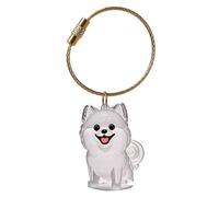 Hrtyvhin Elegant Pet Loss Memorial Keychain Features Visible Hair Storage Chamber And Durability Hair Box Keyring Clear Memorial Box