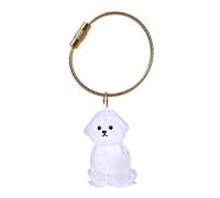 Hrtyvhin Elegant Pet Loss Memorial Keychain Features Visible Hair Storage Chamber And Durability Hair Box Keyring Clear Memorial Box